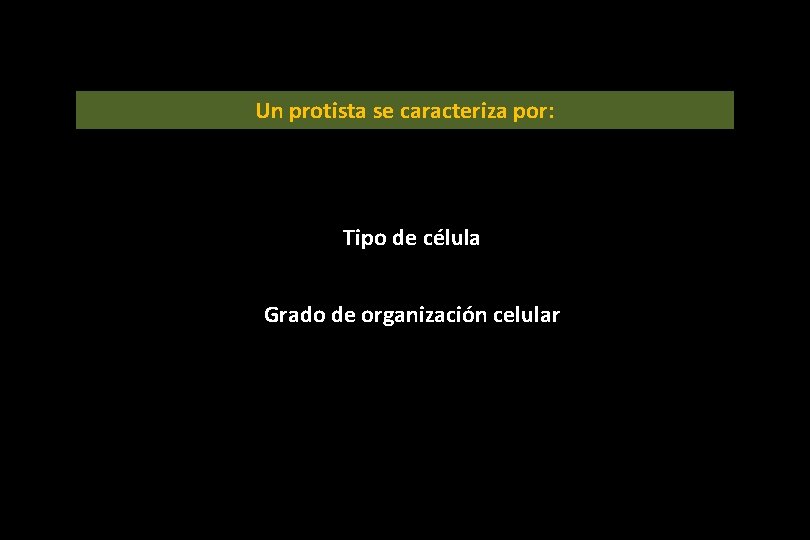 Un protista se caracteriza por: Tipo de célula Grado de organización celular Un protista se caracteriza por: Tipo de célula Grado de organización celular