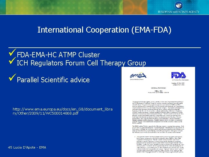 International Cooperation (EMA-FDA) üFDA-EMA-HC ATMP Cluster üICH Regulators Forum Cell Therapy Group üParallel Scientific International Cooperation (EMA-FDA) üFDA-EMA-HC ATMP Cluster üICH Regulators Forum Cell Therapy Group üParallel Scientific