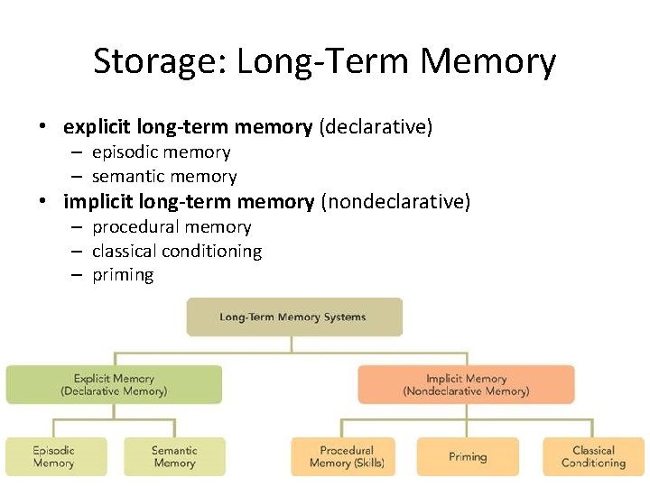 Storage: Long-Term Memory • explicit long-term memory (declarative) – episodic memory – semantic memory