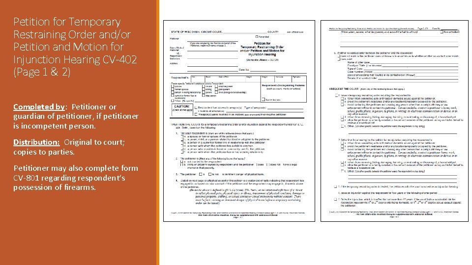 Petition for Temporary Restraining Order and/or Petition and Motion for Injunction Hearing CV-402 (Page