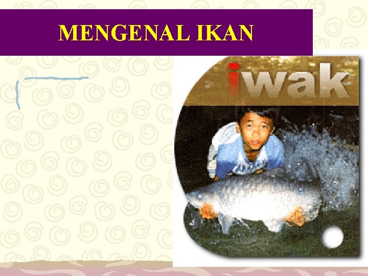 MENGENAL IKAN 