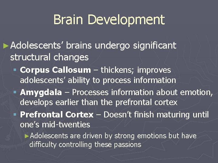 Brain Development ► Adolescents’ brains undergo significant structural changes § Corpus Callosum – thickens;