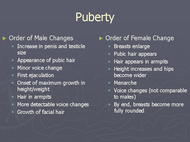 Puberty ► Order of Male Changes § Increase in penis and testicle size §