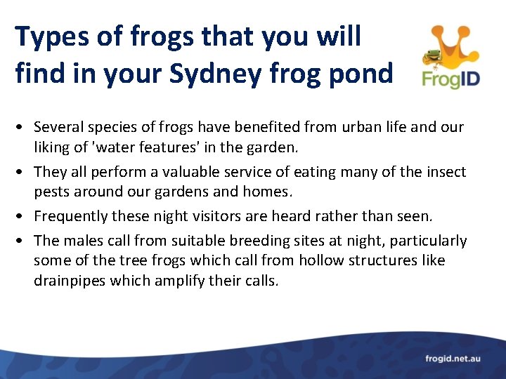 Types of frogs that you will find in your Sydney frog pond • Several