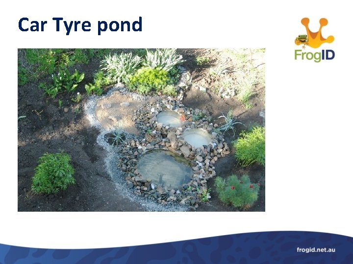 Car Tyre pond 