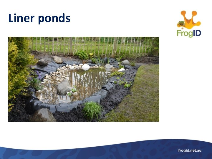 Liner ponds 