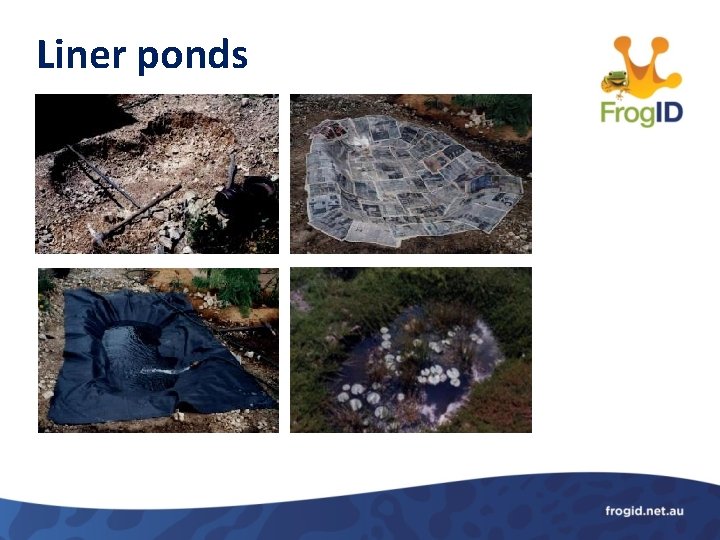 Liner ponds 