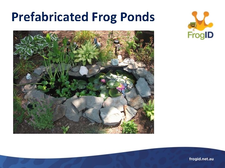 Prefabricated Frog Ponds 