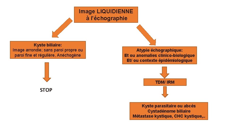 Image LIQUIDIENNE à l’échographie Kyste biliaire: Image arrondie; sans paroi propre ou paroi fine