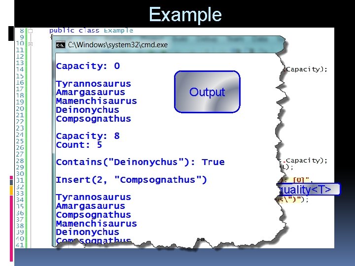 Example Output IEquality<T> 