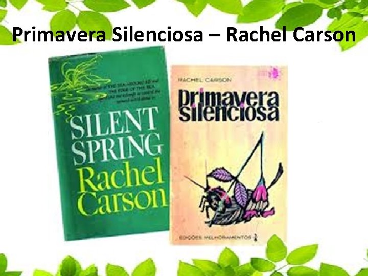 Primavera Silenciosa – Rachel Carson 