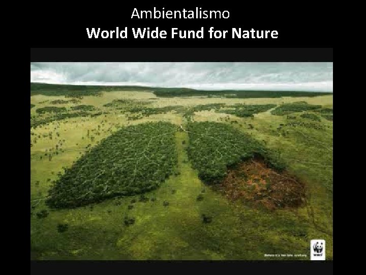 Ambientalismo World Wide Fund for Nature 