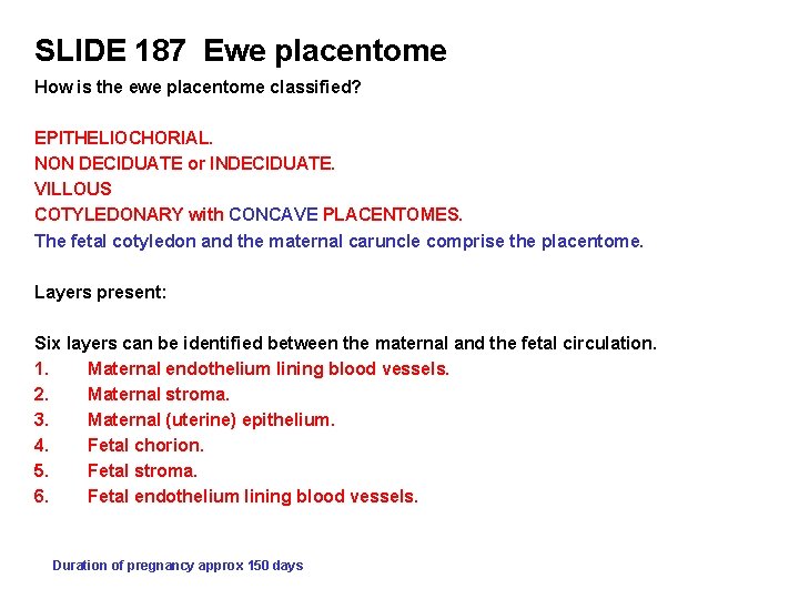 SLIDE 187 Ewe placentome How is the ewe placentome classified? EPITHELIOCHORIAL. NON DECIDUATE or