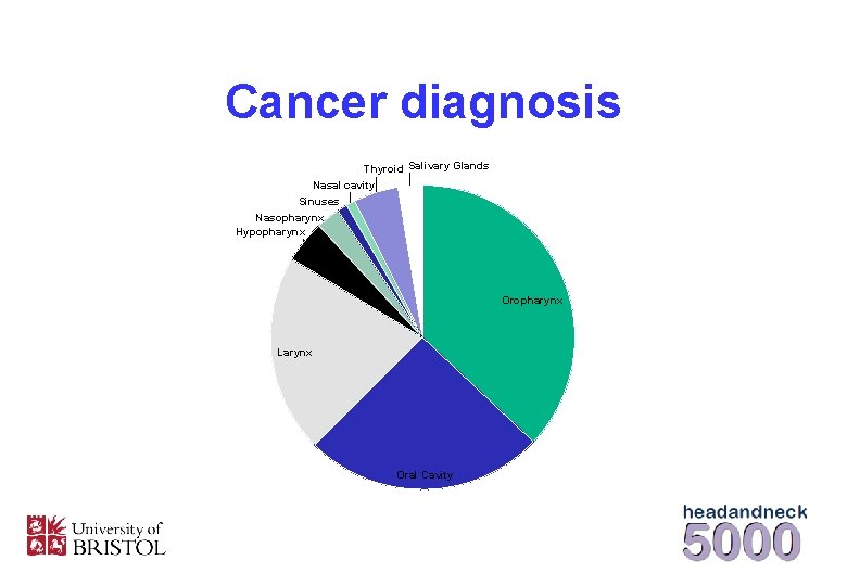 Cancer diagnosis Thyroid Salivary Glands Nasal cavity Sinuses Nasopharynx Hypopharynx Oropharynx Larynx Oral Cavity