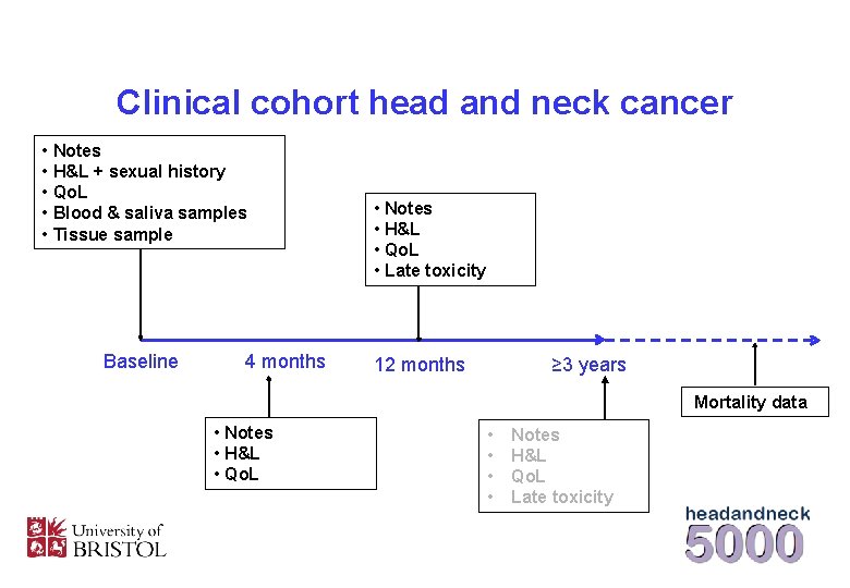 Clinical cohort head and neck cancer • Notes • H&L + sexual history •