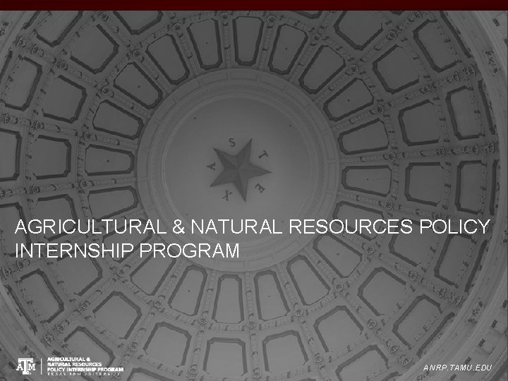 AGRICULTURAL & NATURAL RESOURCES POLICY INTERNSHIP PROGRAM ANRP. TAMU. EDU 