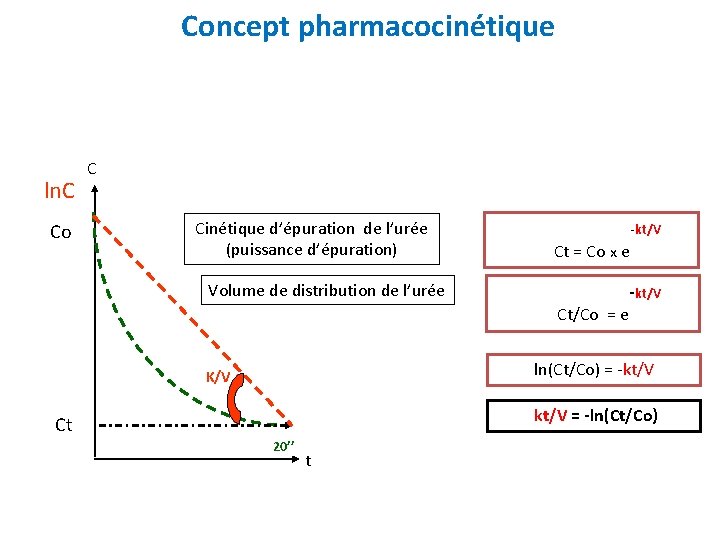 Concept pharmacocinétique ln. C Co C Cinétique d’épuration de l’urée (puissance d’épuration) Volume de