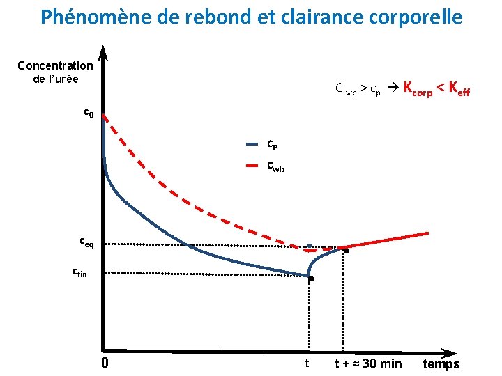 Phénomène de rebond et clairance corporelle Concentration de l’urée C wb > cp Kcorp