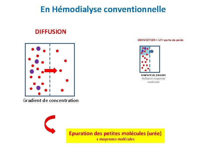 En Hémodialyse conventionnelle DIFFUSION CONVECTION = UF= perte de poids Gradient de pression Petites
