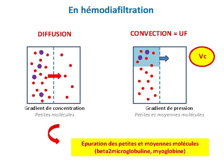En hémodiafiltration CONVECTION = UF DIFFUSION Vc Gradient de concentration Petites molécules Gradient de