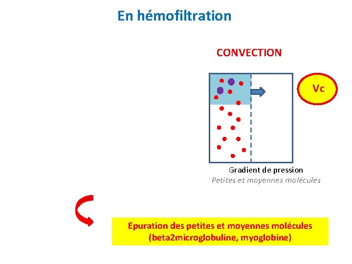 En hémofiltration CONVECTION Vc Gradient de pression Petites et moyennes molécules Epuration des petites