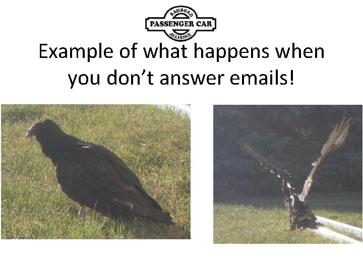 Example of what happens when you don’t answer emails! 