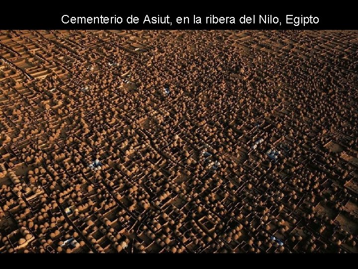 Cementerio de Asiut, en la ribera del Nilo, Egipto Cementerio de Asiut, en la ribera del Nilo, Egipto