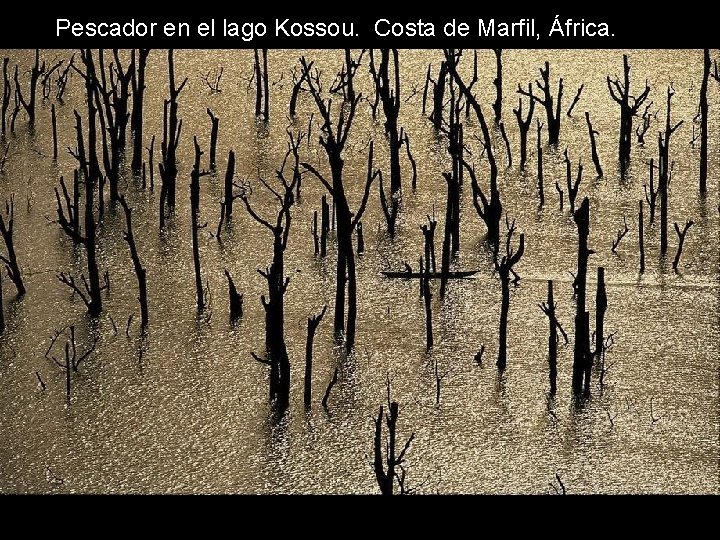Pescador en el lago Kossou. Costa de Marfil, África. Pescador en el lago Kossou. Costa de Marfil, África.