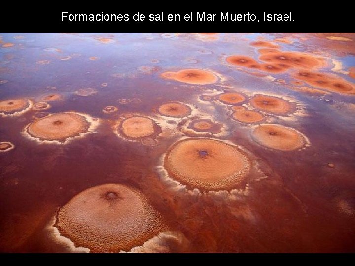 Formaciones de sal en el Mar Muerto, Israel. Formaciones de sal en el Mar Muerto, Israel.