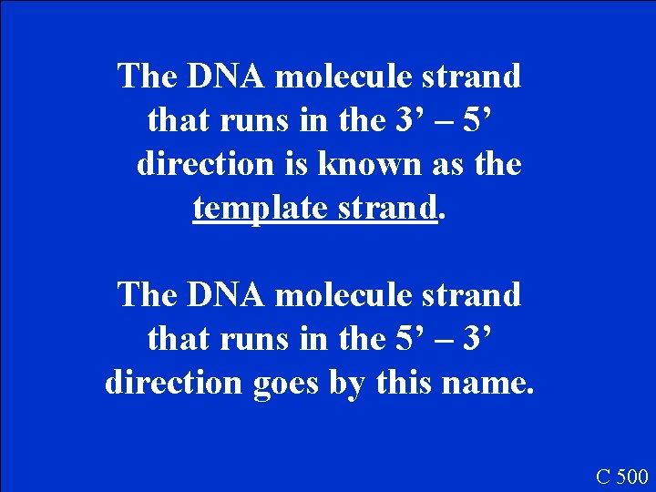 The DNA molecule strand that runs in the 3’ – 5’ direction is known