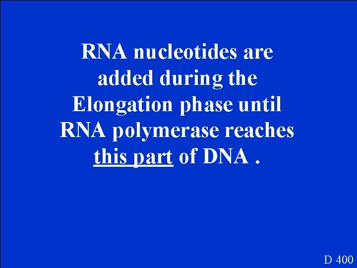 RNA nucleotides are added during the Elongation phase until RNA polymerase reaches this part