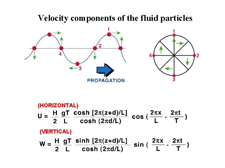 Velocity components of the fluid particles (HORIZONTAL) (VERTICAL) 