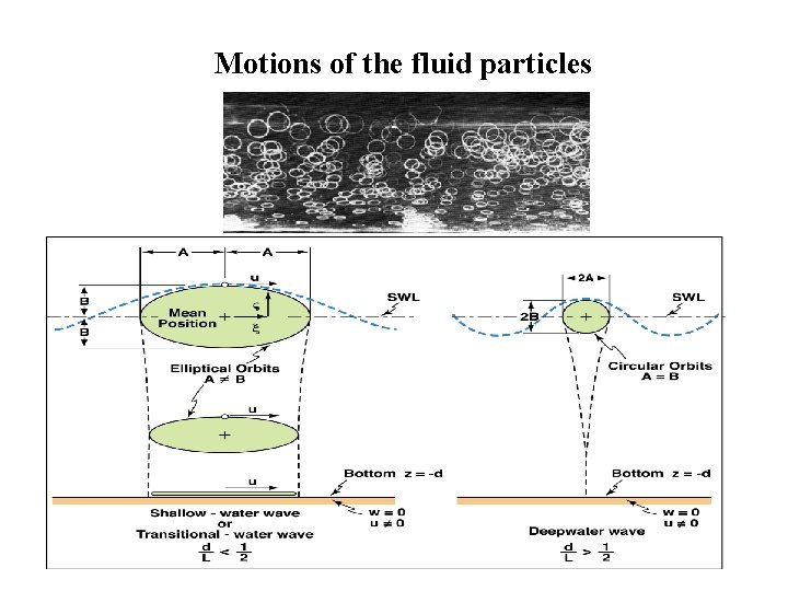 Motions of the fluid particles 