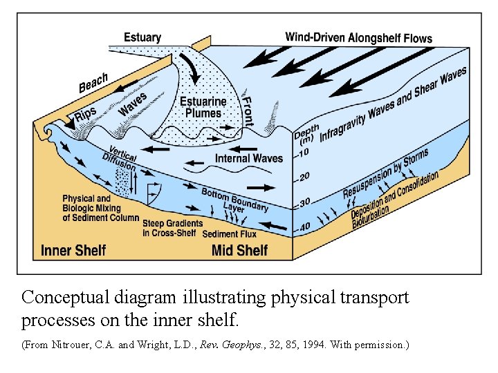 Conceptual diagram illustrating physical transport processes on the inner shelf. (From Nitrouer, C. A.