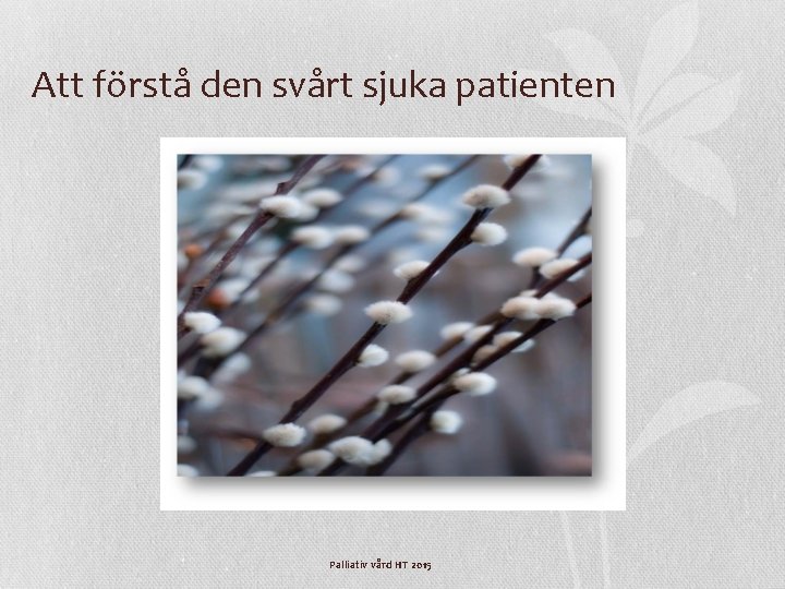 Att förstå den svårt sjuka patienten Palliativ vård HT 2015 