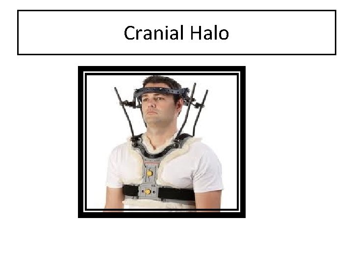 Cranial Halo 