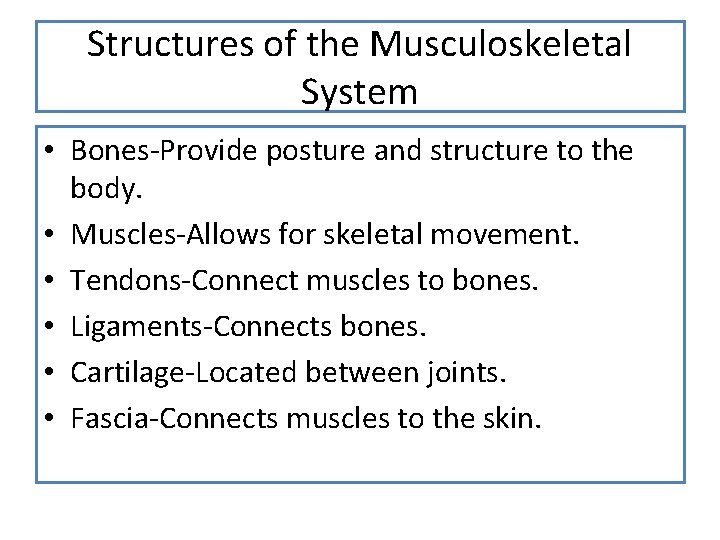 Structures of the Musculoskeletal System • Bones-Provide posture and structure to the body. •