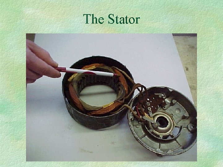 The Stator 