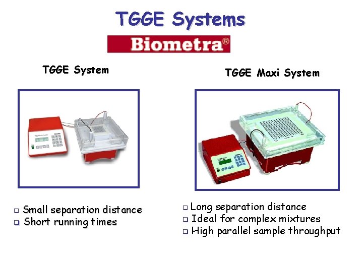 TGGE Systems TGGE System Small separation distance q Short running times q TGGE Maxi