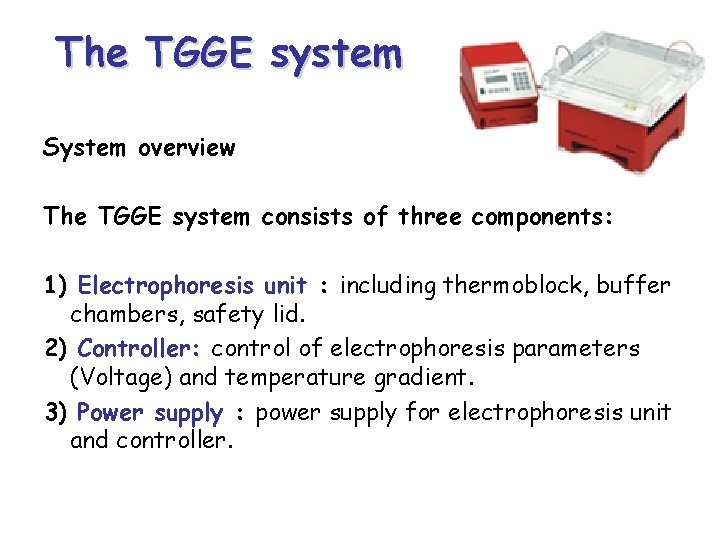 The TGGE system System overview The TGGE system consists of three components: 1) Electrophoresis