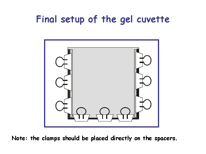 Final setup of the gel cuvette Note: the clamps should be placed directly on
