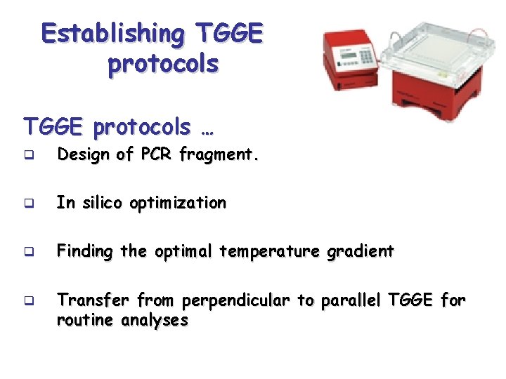 Establishing TGGE protocols … q Design of PCR fragment. q In silico optimization q