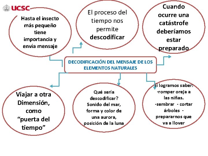 Hasta el insecto más pequeño tiene importancia y envía mensaje El proceso del tiempo