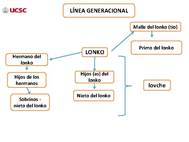 LÍNEA GENERACIONAL Malle del lonko (tio) Hermano del lonko Hijos de los hermanos Sobrinos