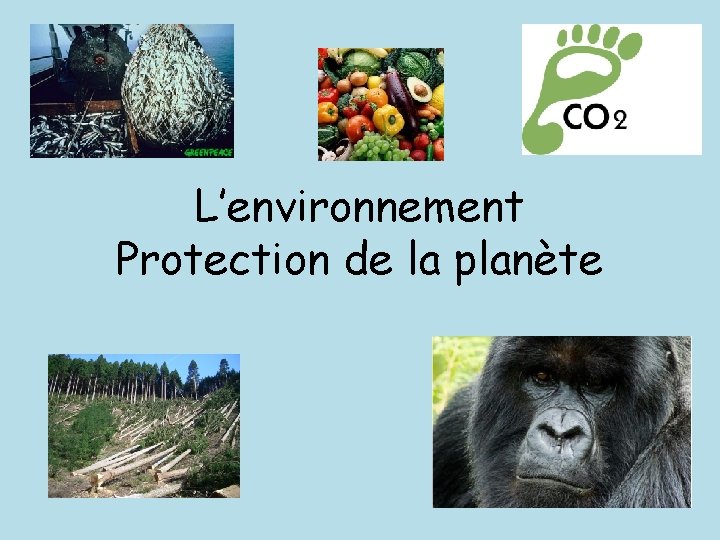 L’environnement Protection de la planète 