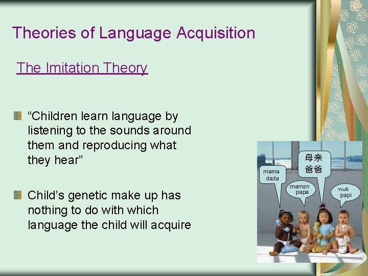 Theories of Language Acquisition The Imitation Theory “Children learn language by listening to the