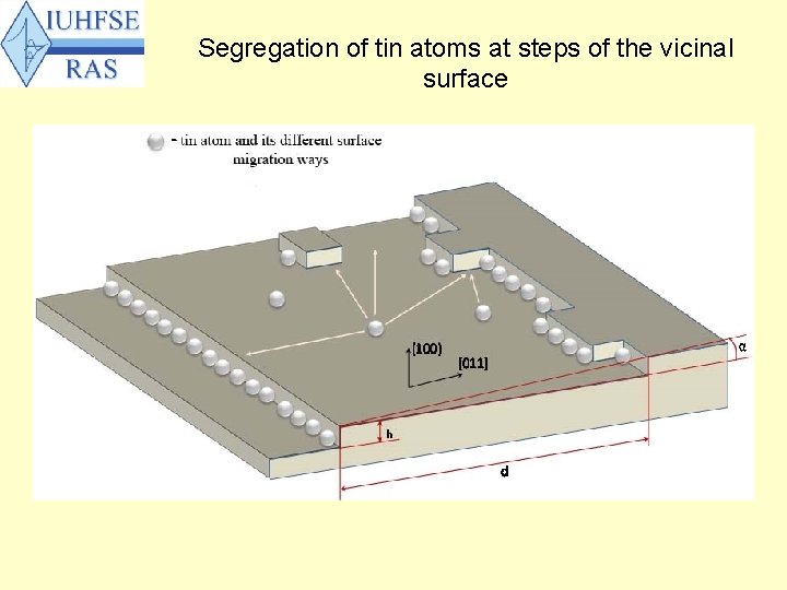 Segregation of tin atoms at steps of the vicinal surface 