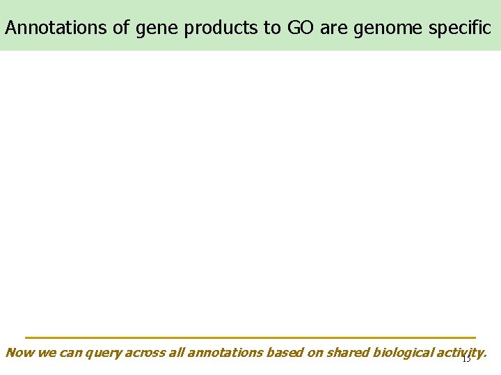 Annotations of gene products to GO are genome specific Now we can query across