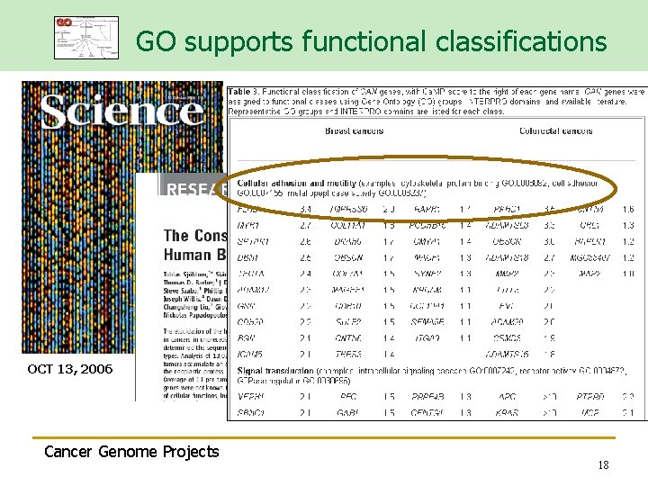 GO supports functional classifications OCT 13, 2006 Cancer Genome Projects 18 