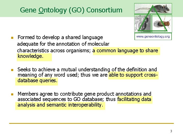 Gene Ontology (GO) Consortium n n n Formed to develop a shared language adequate